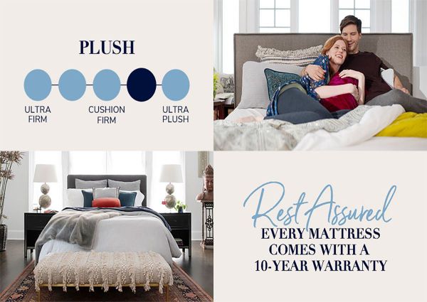 Firmness Chart of the Cassatt Luxury Plush Mattress by Stearns & Foster® in Full Size | Home Furniture Plus Bedding