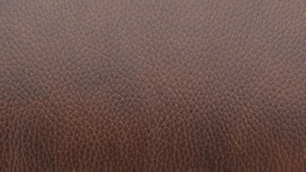 Leather Swatch  on the Elliot POWER Leather Reclining Sectional Sofa in Brown by Man Wah | Home Furniture Plus Bedding